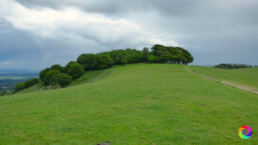 Chanctonbury Ring